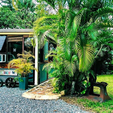 Butterfly Studio Proserpine Luaran gambar