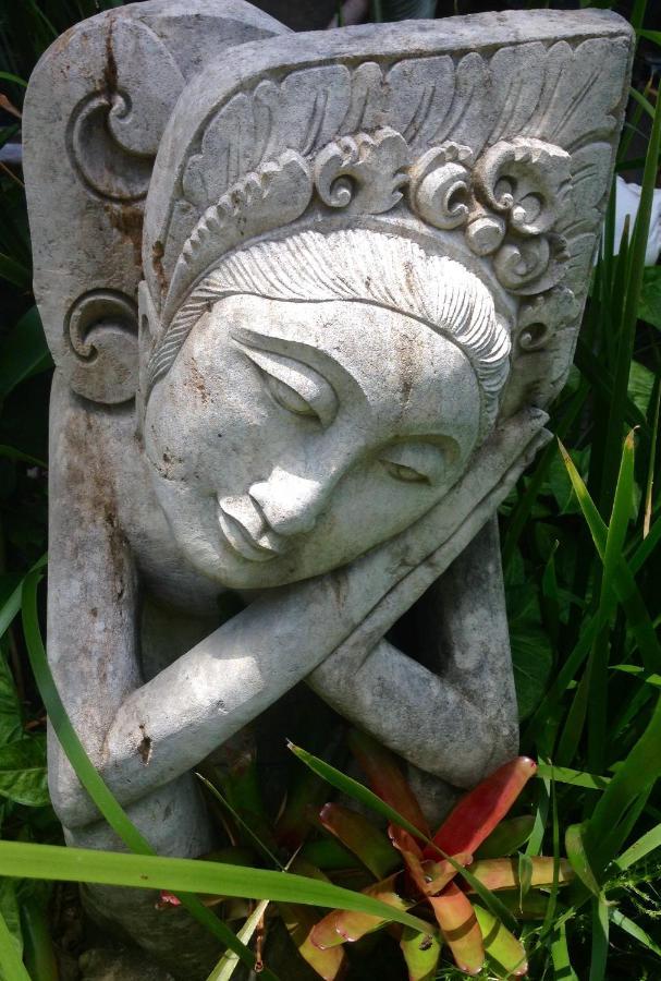 Butterfly Studio Proserpine Luaran gambar